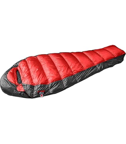 Amazon.co.jp: ナンガ(NANGA) UDD BAG 450DX CHA レギュラー